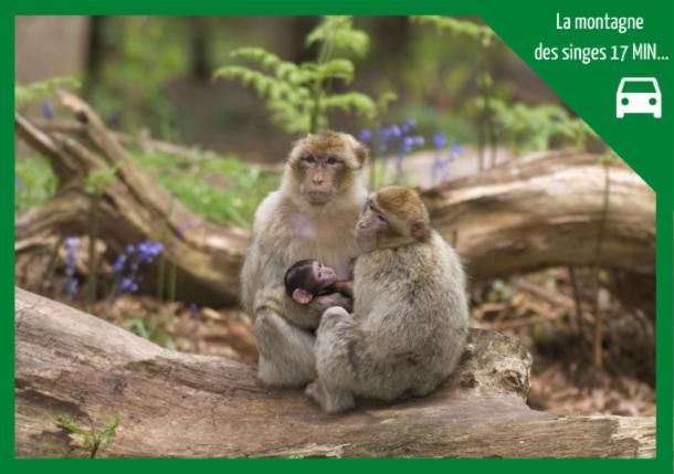 ❊ L'Ecrin Selestadien ❊ Sélestat Exteriér fotografie