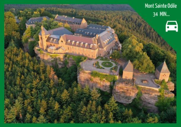 ❊ L'Ecrin Selestadien ❊ Sélestat Exteriér fotografie